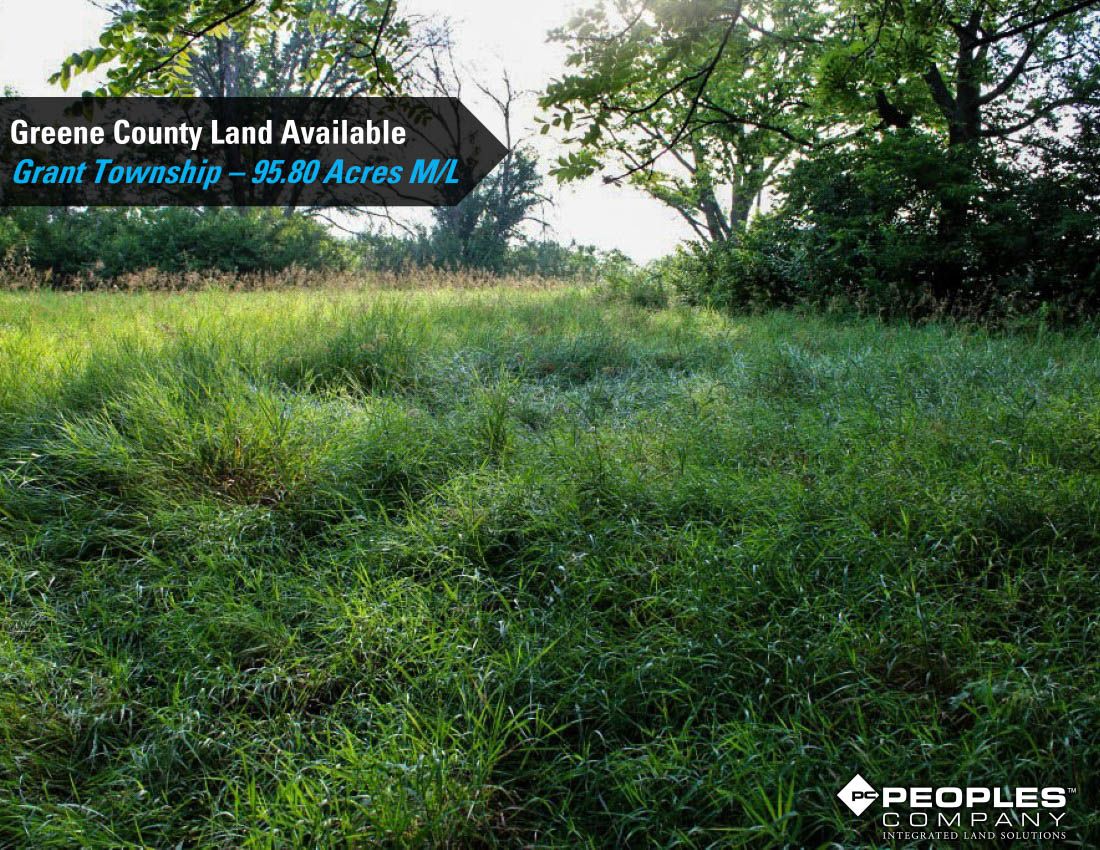 Listing Photo: Greene-Co-Rec-Land-Available-95-Acres-19559 (27)